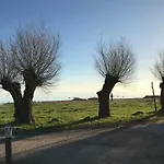 Dts
